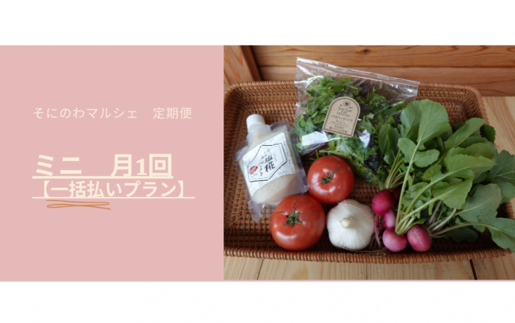 1ȯ ˤΤޥ륷إߥ˰ʧץ2025ǯ9<img class='new_mark_img2' src='https://img.shop-pro.jp/img/new/icons1.gif' style='border:none;display:inline;margin:0px;padding:0px;width:auto;' />