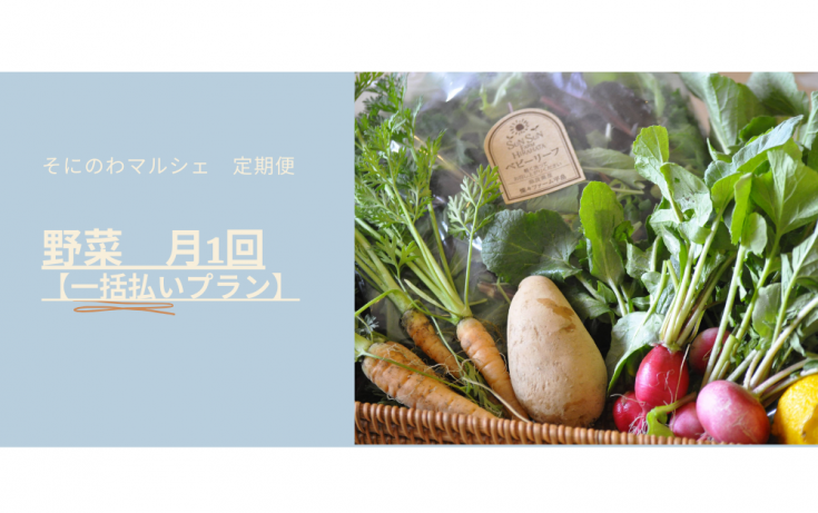1ȯ ˤΤޥ륷ڰʧץ2025ǯ10<img class='new_mark_img2' src='https://img.shop-pro.jp/img/new/icons1.gif' style='border:none;display:inline;margin:0px;padding:0px;width:auto;' />