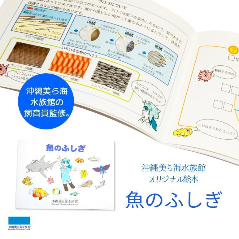 沖縄美ら海水族館オリジナル絵本 魚のふしぎ 沖縄美ら海水族館オリジナル絵本 魚のふしぎ