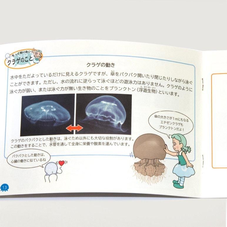 沖縄美ら海水族館オリジナル絵本 クラゲのふしぎ 沖縄美ら海水族館アンテナショップうみちゅららオンライン