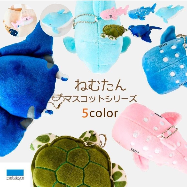 キーホルダー ねむたん もちもち マスコット | 沖縄美ら海水族館 キーホルダー ねむたん もちもち マスコット | 沖縄美ら海水族館