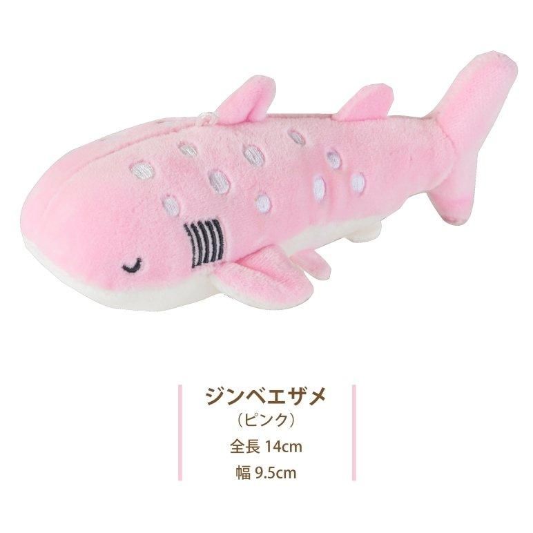 沖縄美ら海水族館オリジナル ペタンコジンベエザメ | 沖縄美ら海