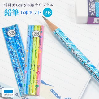 沖縄美ら海水族館オリジナル鉛筆 5本セット（2B）