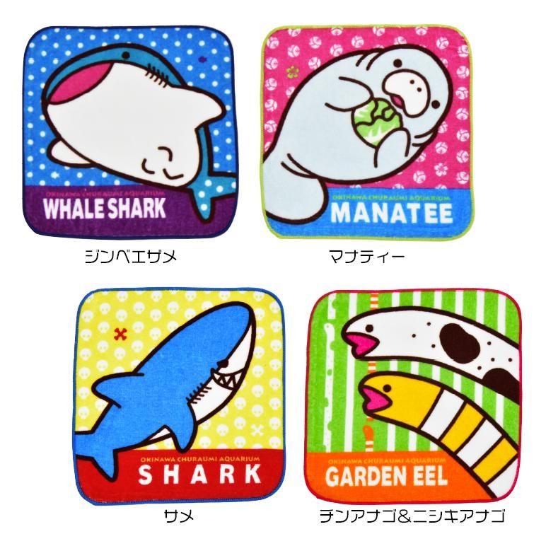 沖縄美ら海水族館オリジナル ミニタオル 沖縄美ら海水族館・首里城公園公式オンライン SHARK ミニタオル