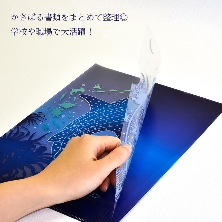 クリアファイル ナイトアクアリウム | 沖縄美ら海水族館・首里城公園