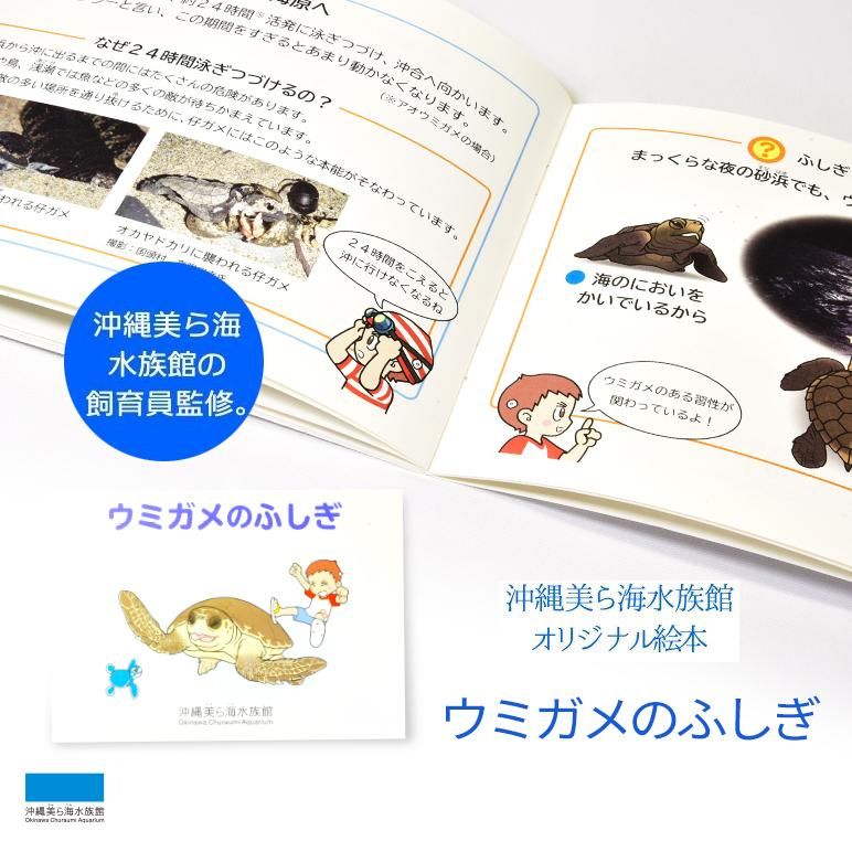 沖縄美ら海水族館オリジナル 絵本 ウミガメのふしぎ | 沖縄美ら