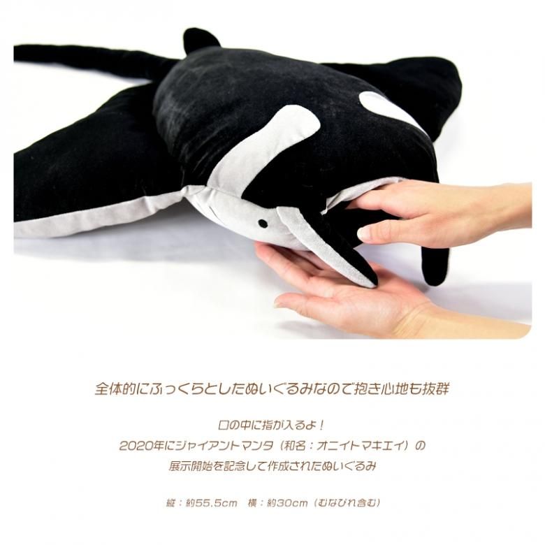 沖縄美ら海水族館オリジナル ぬいぐるみ リアルマナティーL+M