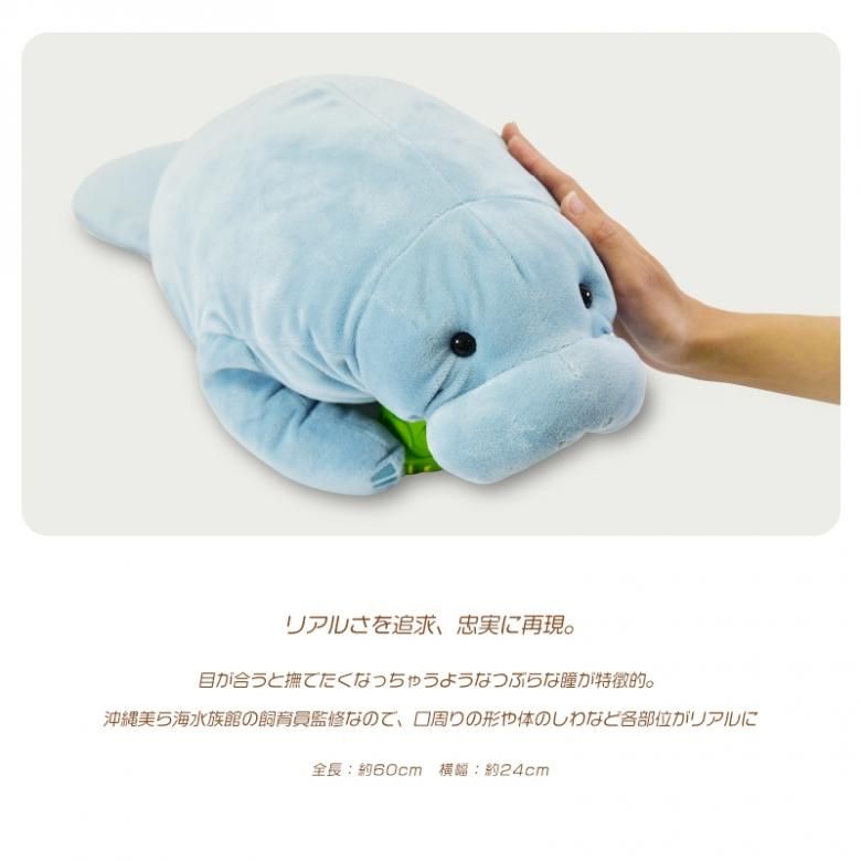 リアルマナティー M : 沖縄美ら海水族館 公式ショップ - 通販