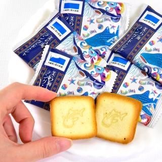 お菓子 塩ちんすこう 沖縄 美ら海 水族館 （袋12個入） | 沖縄美