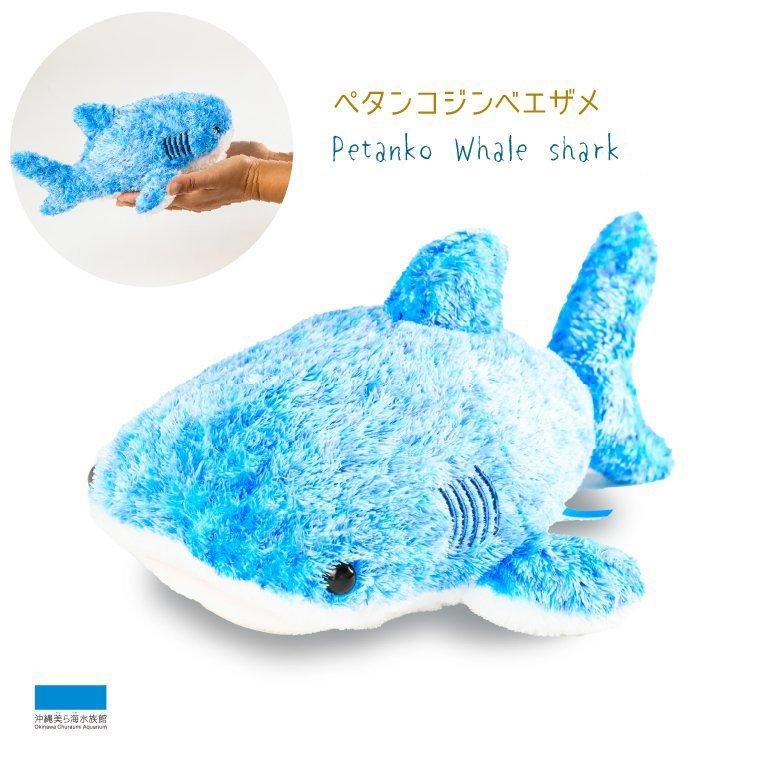 Amazon.co.jp: 沖縄美ら海水族館 ペタンコジンベエザメ M