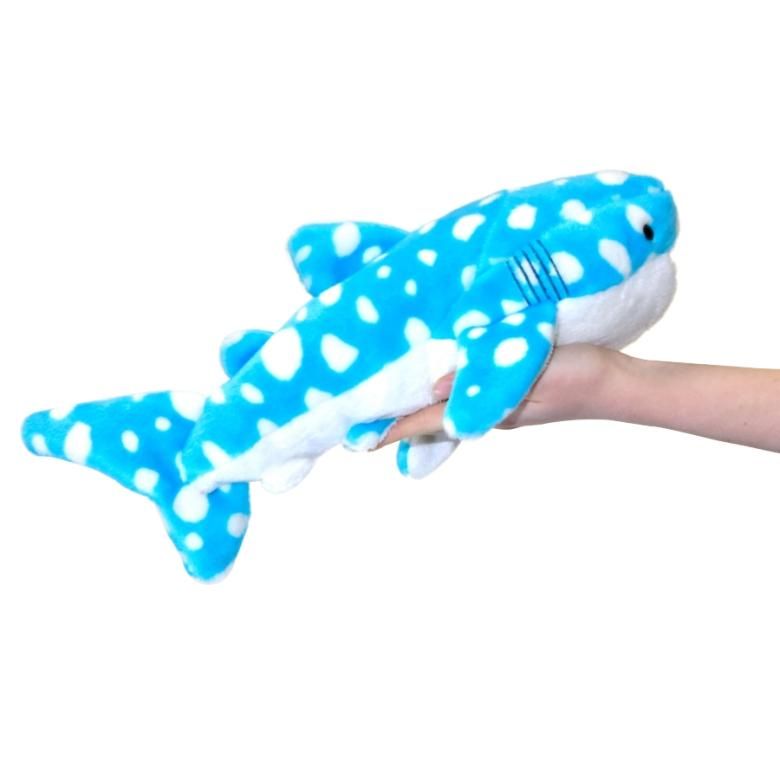 Amazon.co.jp: AQUA ぬいぐるみ マリン ジンベエザメ L 00380131