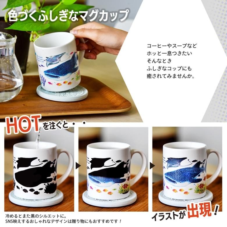 温感 マグカップ マジック | 沖縄美ら海水族館・首里城公園公式