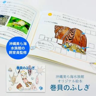 沖縄美ら海水族館 - 沖縄美ら海水族館・首里城公園 公式オンライン