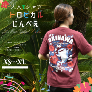 <img class='new_mark_img1' src='https://img.shop-pro.jp/img/new/icons6.gif' style='border:none;display:inline;margin:0px;padding:0px;width:auto;' />T ȥԥ  鳤 ² Ⱦµ   ǥ ٥    
