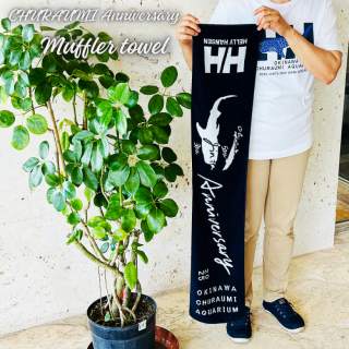 <img class='new_mark_img1' src='https://img.shop-pro.jp/img/new/icons14.gif' style='border:none;display:inline;margin:0px;padding:0px;width:auto;' /> ޥե顼 إ꡼ϥ󥻥 ǥ ͥӡ 250mm1100mm ݡ 饤ִ  CHURAUMI HD TOWEL_(JINTA30th_Oki50th) ե 