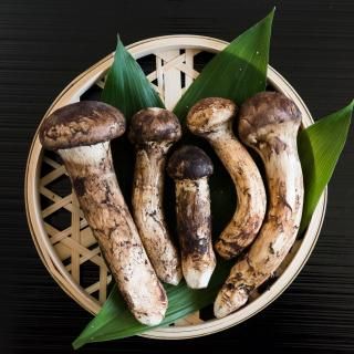 松茸 - 〜ダージリン紅茶とブータン松茸〜高輪アイシス 松茸 - 〜ダージリン紅茶とブータン松茸〜高輪アイシス