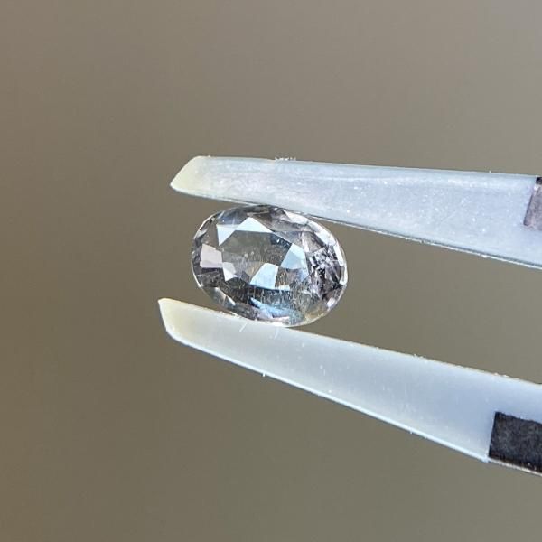 化石　B-19 BIF101-1.jpg