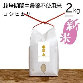 <img class='new_mark_img1' src='https://img.shop-pro.jp/img/new/icons7.gif' style='border:none;display:inline;margin:0px;padding:0px;width:auto;' />