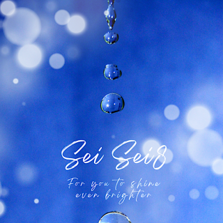 ڤ֡᤯åseimeiSei/Sei8<img class='new_mark_img2' src='https://img.shop-pro.jp/img/new/icons55.gif' style='border:none;display:inline;margin:0px;padding:0px;width:auto;' />