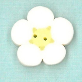 TINY WHITE FLOWER ܥ<img class='new_mark_img2' src='https://img.shop-pro.jp/img/new/icons41.gif' style='border:none;display:inline;margin:0px;padding:0px;width:auto;' />
