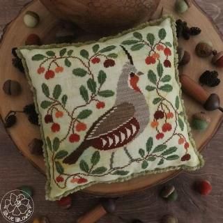Autumn Quail   