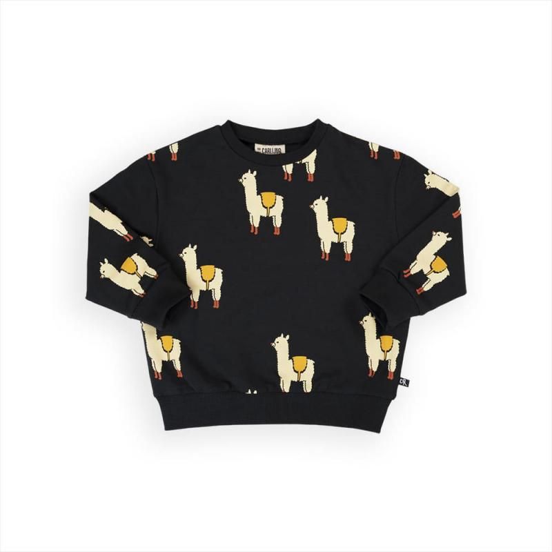 CARLIJNQ Alpaca Sweat Top