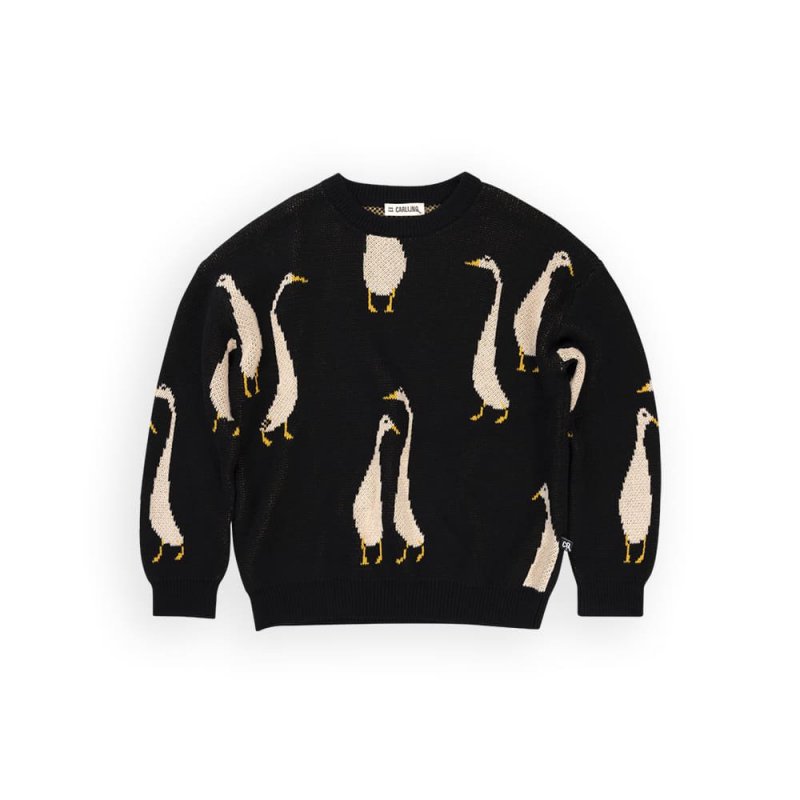 CARLIJNQ Ducks Sweater