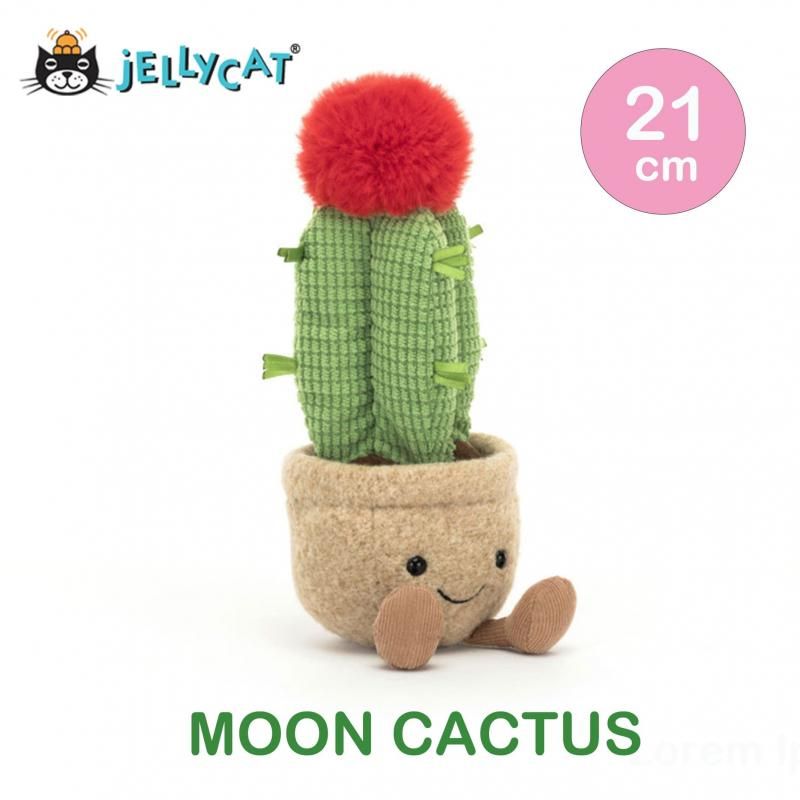 Jelly Cat Amuseable Moon Cactus