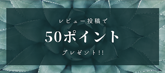 ӥ塼Ƥ50ݥȥץ