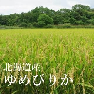 <img class='new_mark_img1' src='https://img.shop-pro.jp/img/new/icons1.gif' style='border:none;display:inline;margin:0px;padding:0px;width:auto;' />Ԥ꤫ʵ ̳ƻëĮ