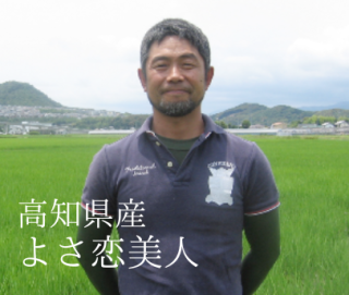 <img class='new_mark_img1' src='https://img.shop-pro.jp/img/new/icons1.gif' style='border:none;display:inline;margin:0px;padding:0px;width:auto;' />褵͡θԡ