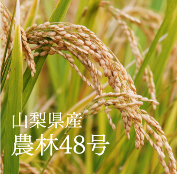 農林48号(山梨県北杜市) - 農家産直米すえひろ 農林48号(山梨県北杜市) - 農家産直米すえひろ