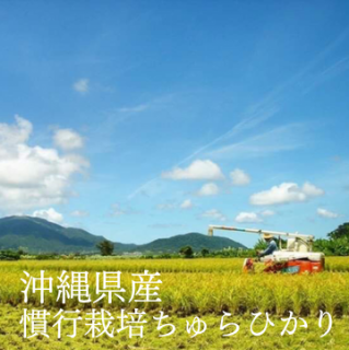 <img class='new_mark_img1' src='https://img.shop-pro.jp/img/new/icons12.gif' style='border:none;display:inline;margin:0px;padding:0px;width:auto;' />ҤڴԺݡ̻ۡ ¾ 츩г