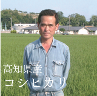 <img class='new_mark_img1' src='https://img.shop-pro.jp/img/new/icons25.gif' style='border:none;display:inline;margin:0px;padding:0px;width:auto;' />ҥں θԡ
