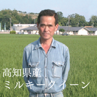 <img class='new_mark_img1' src='https://img.shop-pro.jp/img/new/icons1.gif' style='border:none;display:inline;margin:0px;padding:0px;width:auto;' />ߥ륭ں θԡ