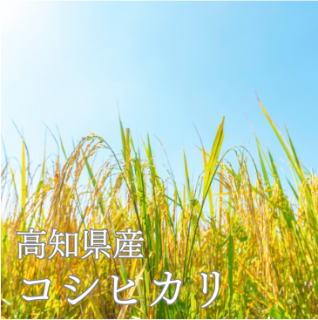 <img class='new_mark_img1' src='https://img.shop-pro.jp/img/new/icons1.gif' style='border:none;display:inline;margin:0px;padding:0px;width:auto;' />ҥʡα θԡ