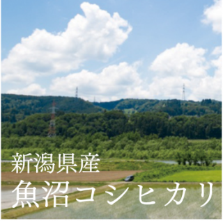 <img class='new_mark_img1' src='https://img.shop-pro.jp/img/new/icons1.gif' style='border:none;display:inline;margin:0px;padding:0px;width:auto;' />¥ҥʤΤ 㸩ĮԻ
