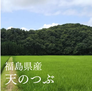 <img class='new_mark_img1' src='https://img.shop-pro.jp/img/new/icons20.gif' style='border:none;display:inline;margin:0px;padding:0px;width:auto;' />SALEŷΤĤ֡ʤȤ ʡ縩ܲԡ