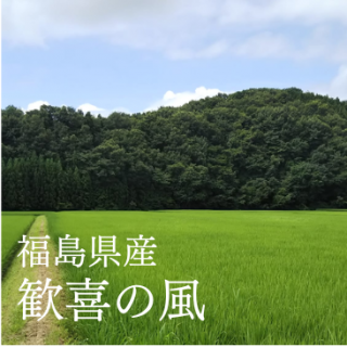 <img class='new_mark_img1' src='https://img.shop-pro.jp/img/new/icons20.gif' style='border:none;display:inline;margin:0px;padding:0px;width:auto;' />SALE۴ʤȤ ʡ縩ܲԡ