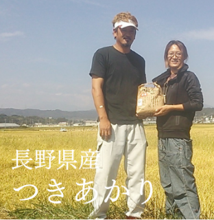 <img class='new_mark_img1' src='https://img.shop-pro.jp/img/new/icons20.gif' style='border:none;display:inline;margin:0px;padding:0px;width:auto;' />SALEۤĤʻ Ĺԡ