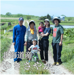 <img class='new_mark_img1' src='https://img.shop-pro.jp/img/new/icons1.gif' style='border:none;display:inline;margin:0px;padding:0px;width:auto;' />椭䤫ʤ졡̳ƻԡ