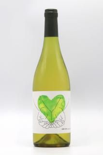 C&#225;m &#417;n chardonnay2024