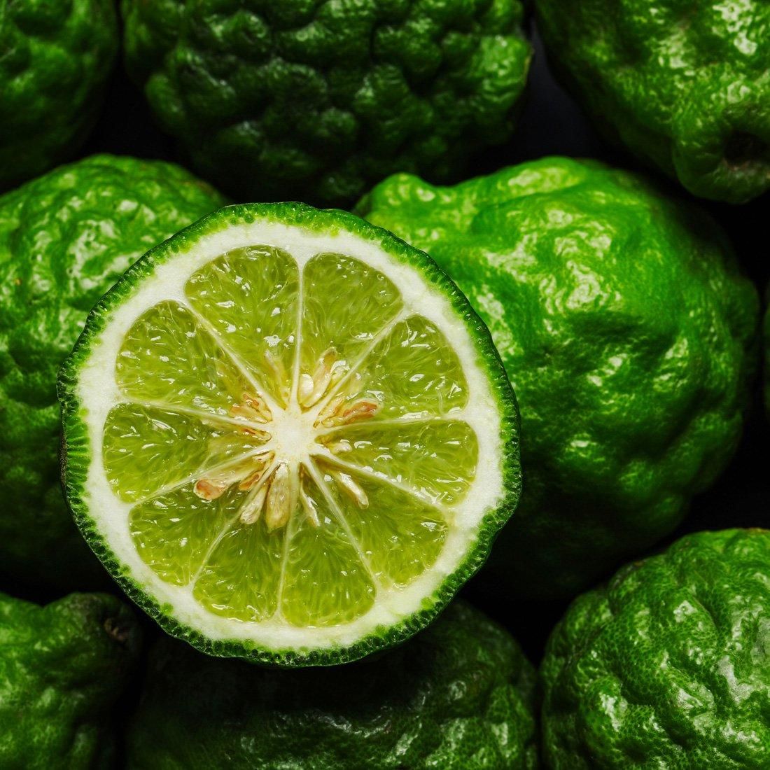 毎日の疲れを癒す、森林浴睡眠ディフューザーセット（ヒノキ イン ザ