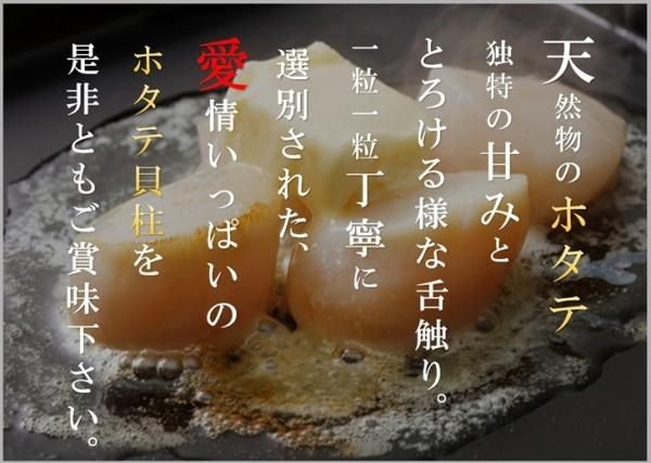 ホタテ貝柱 北海道産 化粧箱入 お刺身用 1kg 31-35粒入 大中 ホタテ貝柱 北海道産 化粧箱入 お刺身用 1kg 31-35粒入 大中