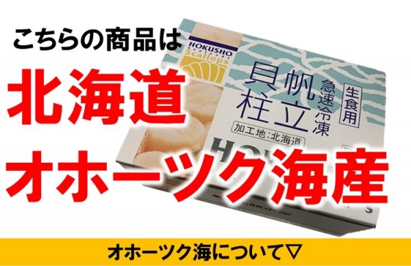 ホタテ貝柱 北海道産 化粧箱入 お刺身用 1kg 36-40粒入 中大サイズ 2Sサイズ 送料無料 - 北海道産帆立専門店 小林正男商店