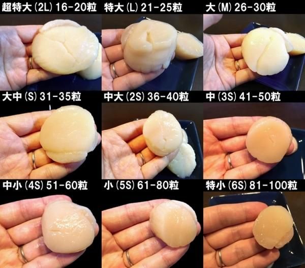 北海道産 お刺身用 ホタテ 貝柱 1kg hsk お徳用 帆立 ほたて貝
