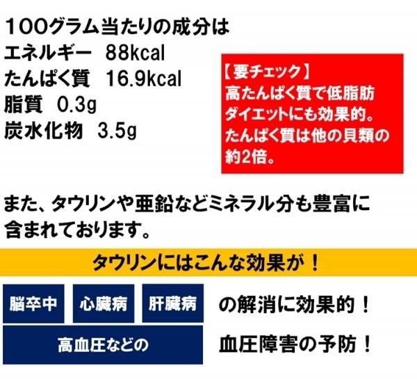 ホタテ貝柱 北海道産 化粧箱入 お刺身用 1kg 16-20粒入 超特大
