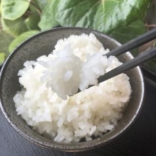 ȤΤ(300g)