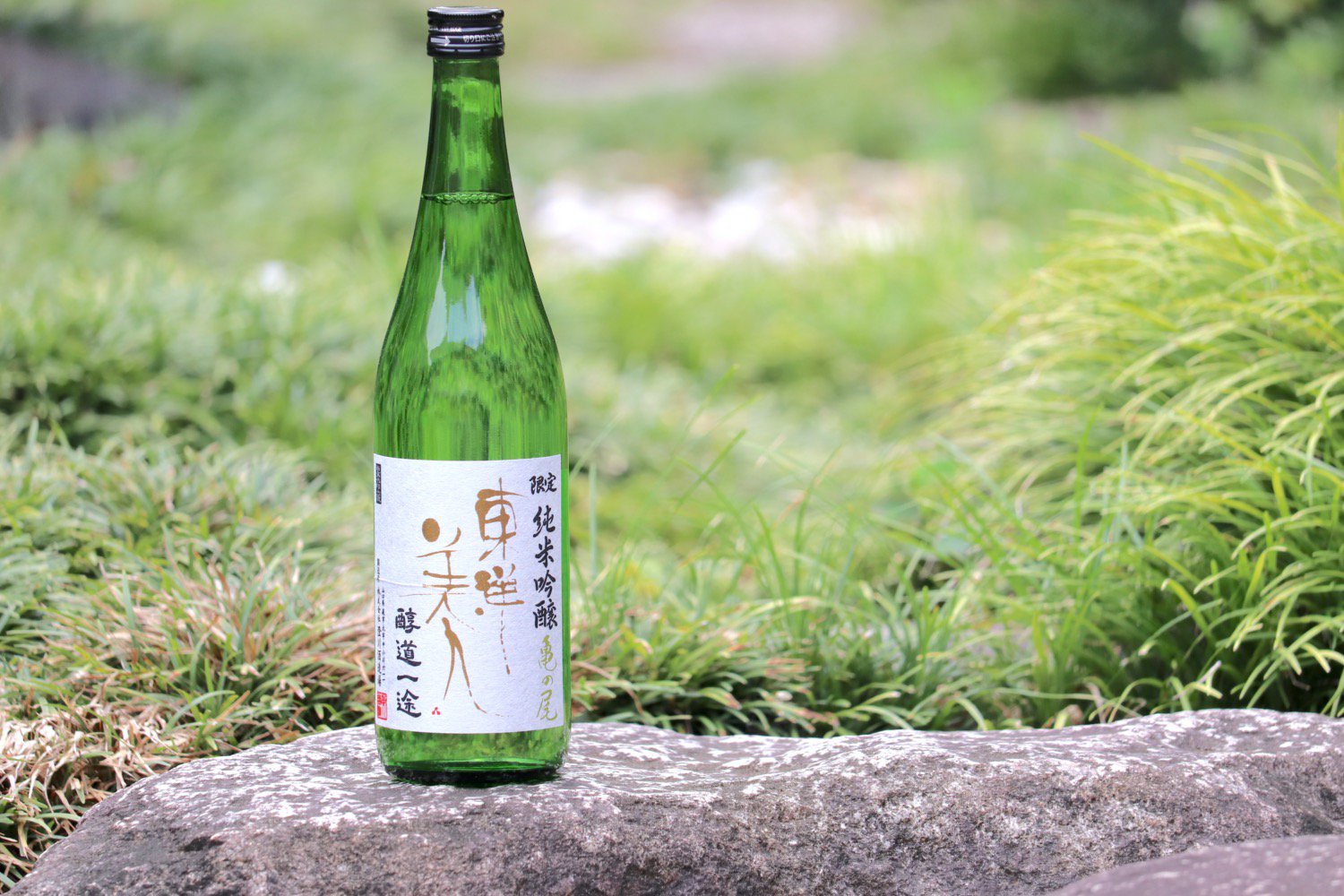 東洋美人 醇道一途(じゅんどういちず) 限定純米吟醸 酒未来 1800ml