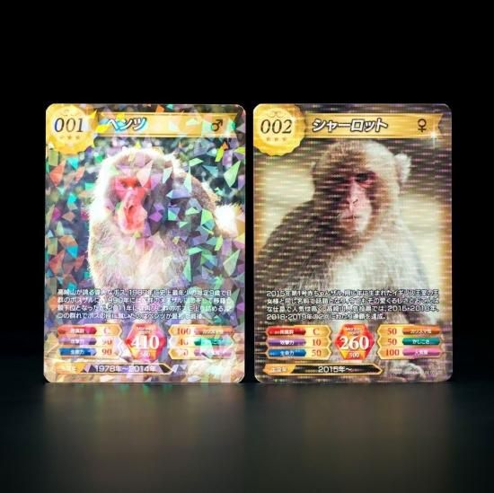 高崎山トレーディングカード - オオイタドリップモール 高崎山トレーディングカード - オオイタドリップモール